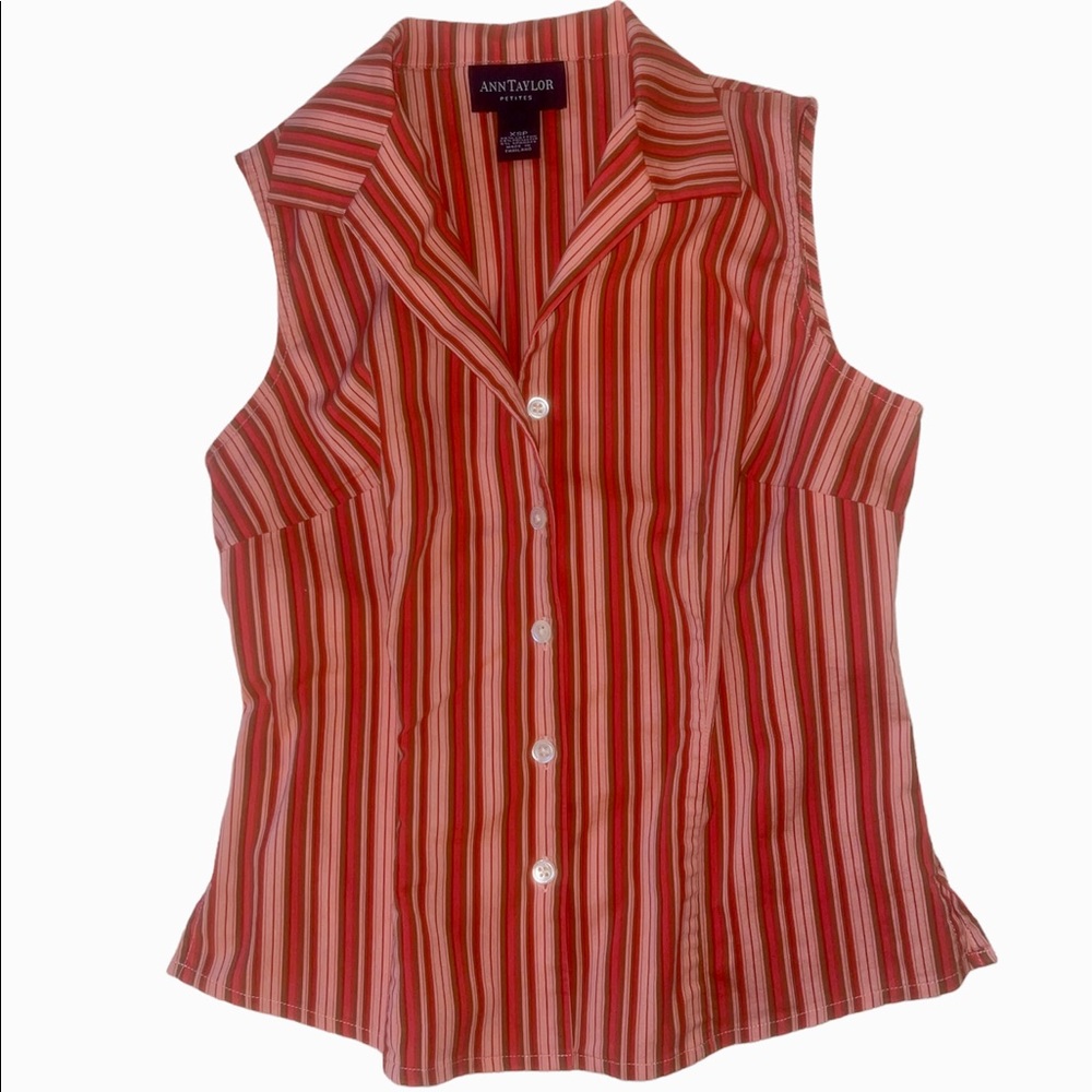 Ann Taylor Petites